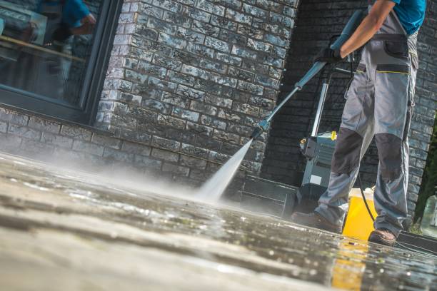 Animal Enclosure Cleaning in Hazlehurst, MS